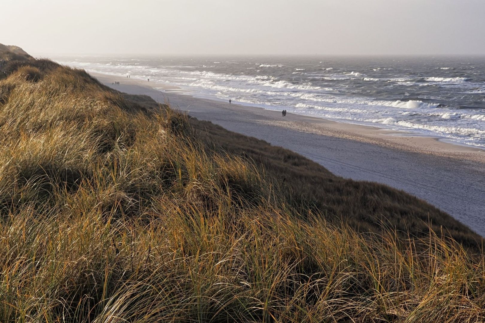 Coastal dunes and beach with walkers beside wind-blown waves